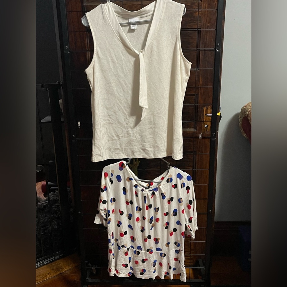 2 Women’s blouses L Jaclyn smith and Liz Clairborne career